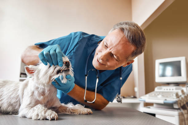 Best Emergency Dentist for Knocked-Out Tooth in Marshall, TX